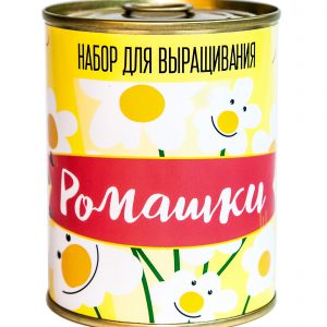 Растения в консервных банках